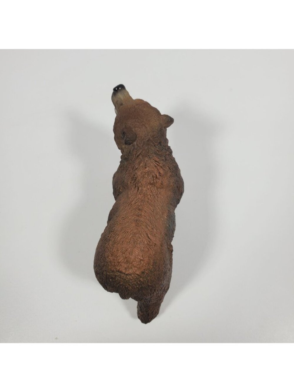 2012 Schleich Grizzly Bear 4" Growling Brown Am Limes D73527 - Picture 9 of 15